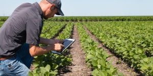 Can I use ERP for agriculture? 1 Can I use ERP for agriculture?